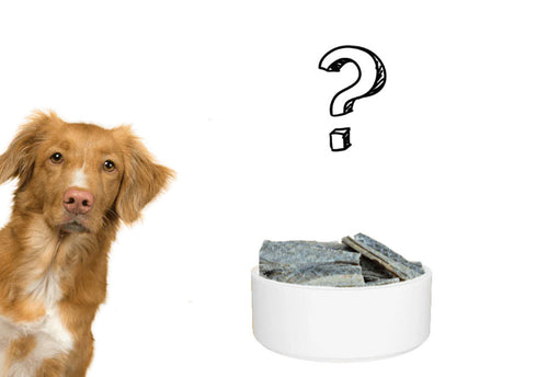 Best Fish Treats For Dogs