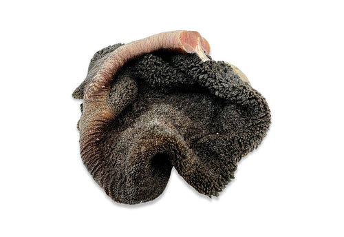 Is Tripe Good for Dogs? Green Tripe Nutritional Benefits & Feeding Guide