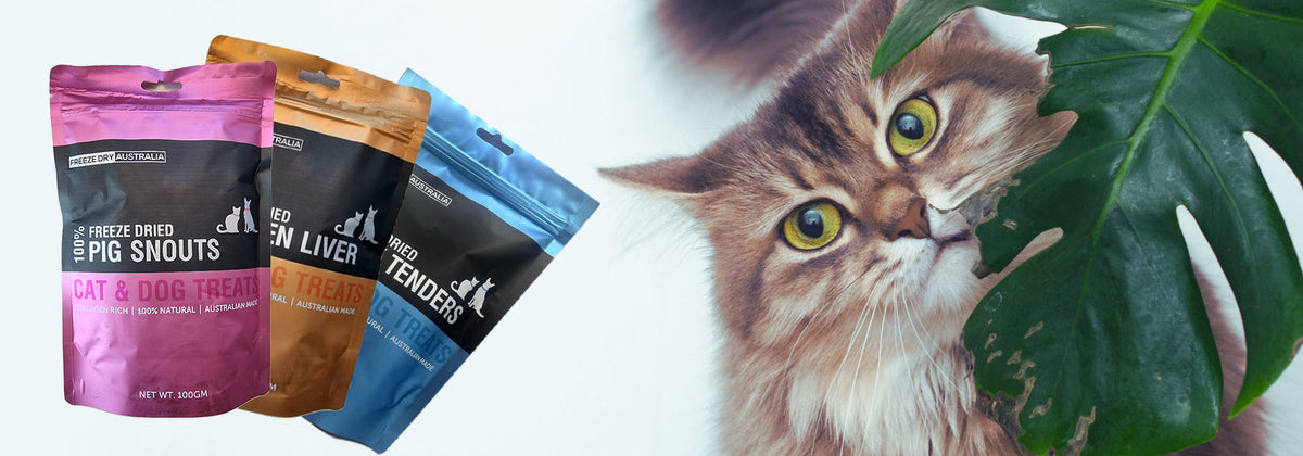 Freeze dried pet food manufacturing in Australia