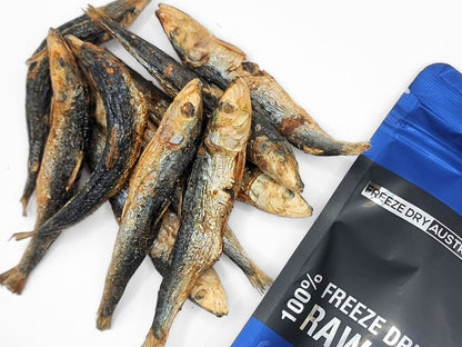 Freeze Dried Whole Sardines