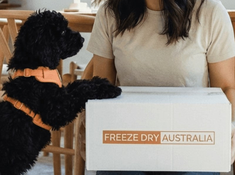 Black dog pawing at a Freeze Dry Australia box