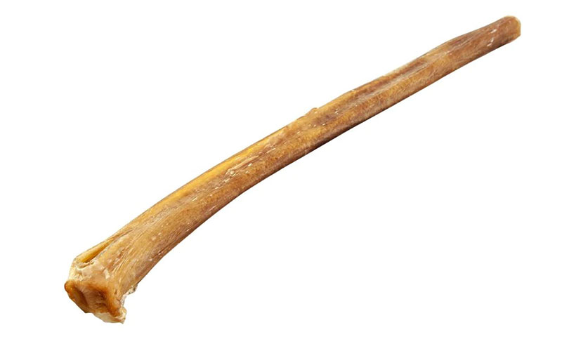 can cats have bully sticks - Can My Cat Eat Dog Treats