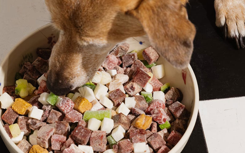 pets hybrid diets