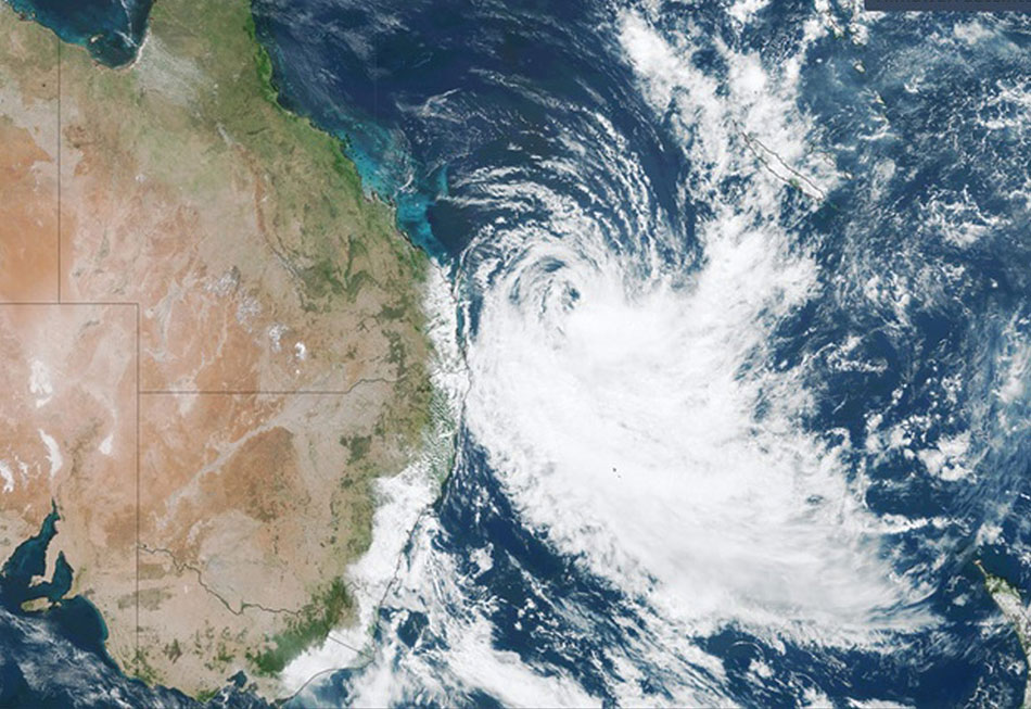 Cyclone Preparation - Keeping Your Pets Safe Featured Image