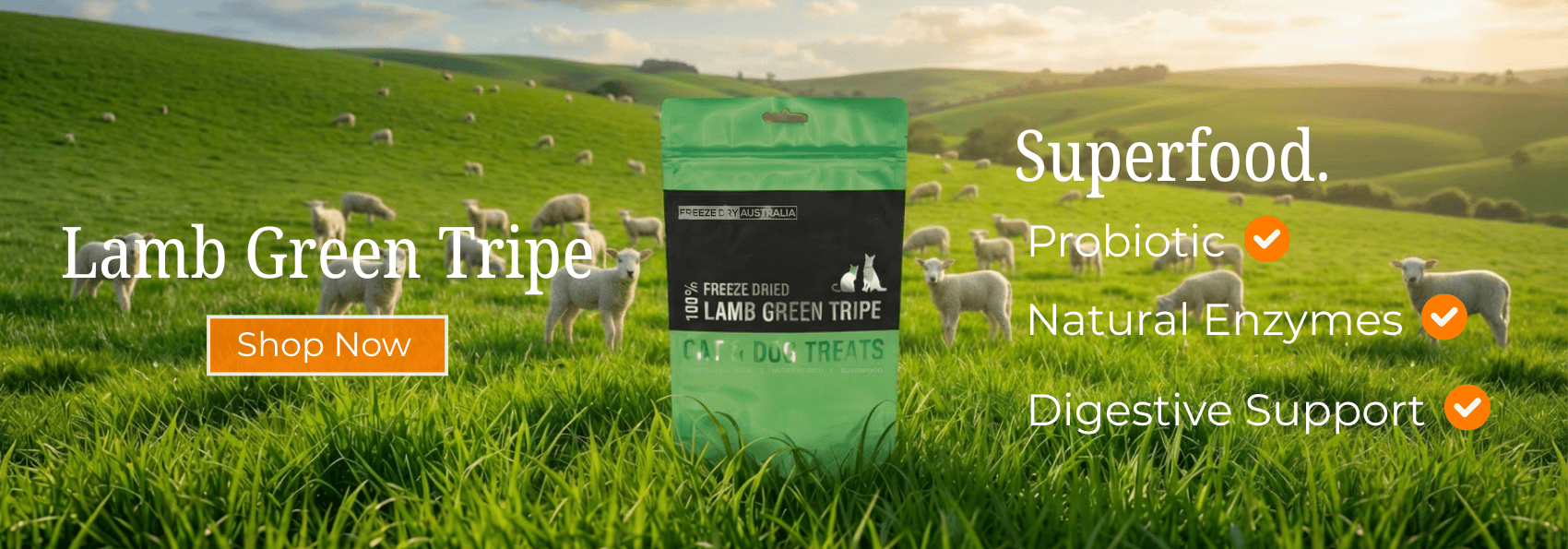 Freeze Dry Australia Lamb Tripe Pet Treats Promo Banner With Sheep Grazing In The Background